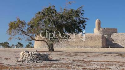Tree of Qal'at al-Bahrain fort