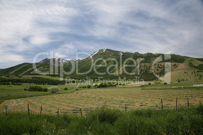 Hay farm in the mountains