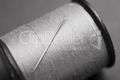 Needle and Thread