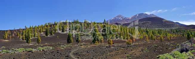 Lava fields on Teneriffe