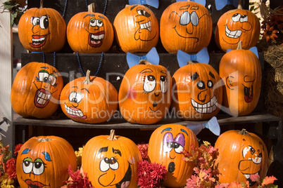 Halloween Decorations
