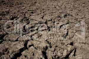 Dried Soil Texture Background