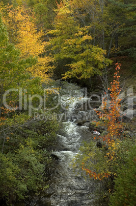 Creek, Acadia Nat Park, ME