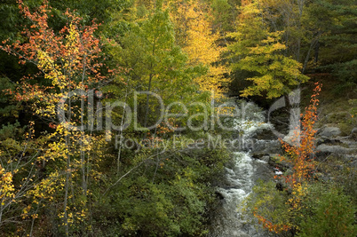 Creek, Acadia Nat Park, ME