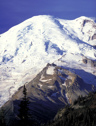 Emmons Glacier on Mt. Rainier