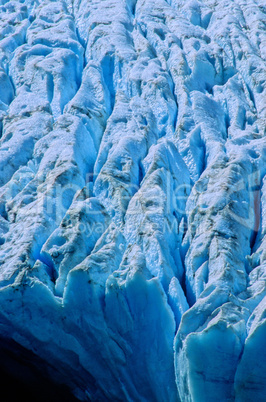 Bear Glacier Ice 7