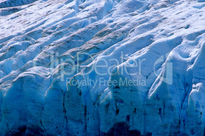 Bear Glacier Ice 8