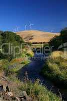 Wind farm and flowing river