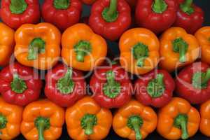 Stock Photograph Of Red And Orange