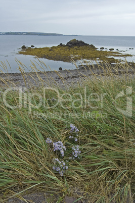 Cap Auguet Eco-Trail, NS