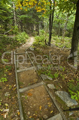 Trail, Cape Breton Highlands NP