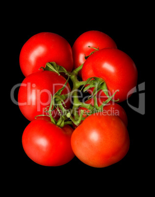 Stock Photograph Of A Cluster Of Se