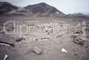 Desecrated Nazca Graveyard