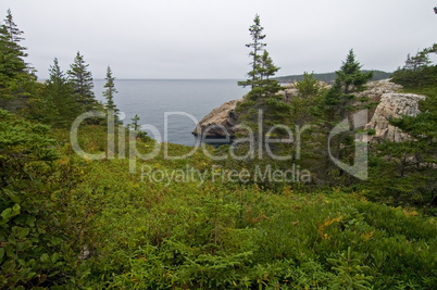 Coastal Trail, Cape Breton Highland