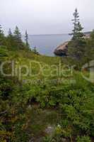 Coastal Trail, Cape Breton Highland