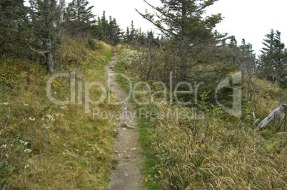 Skyline Trail, Cape Breton Highland