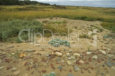 Port Hood Day Park, Cape Breton