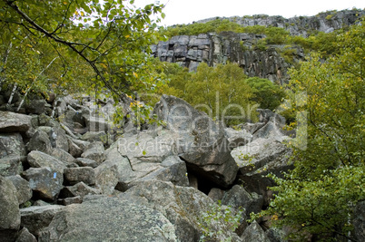 Precipice Trail, Acadia Nat. Park