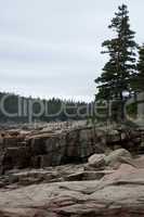Shoreline near Otter Cliffs, Acadia