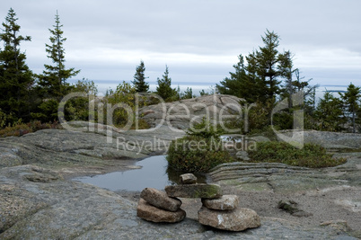 Gorham Mountain Trail, Acadia NP