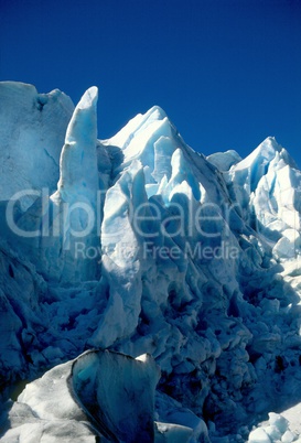 Exit Glacier, Kenai Fjords National