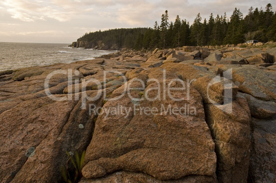 Rocky Shore, Acadia Nat. Park, ME