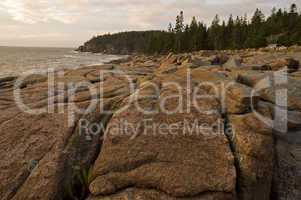 Rocky Shore, Acadia Nat. Park, ME