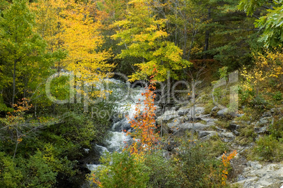 Autumn, Acadia Nat. Park