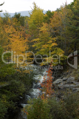 Autumn, Acadia Nat. Park