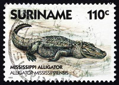 Postage stamp Suriname 1988 Mississippi Alligator, animal