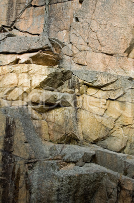 Cliff, Acadia NP