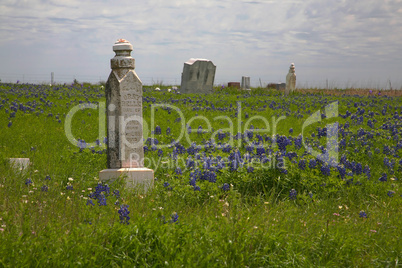 Old grave among Texas bluebonnets