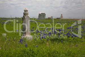 Old grave among Texas bluebonnets