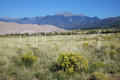 Great Sand Dunes National Park CO