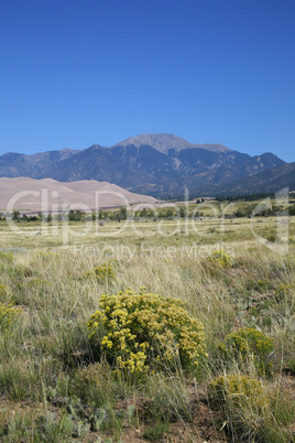 Great Sand Dunes National Park CO