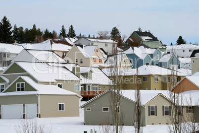 Snowy day among suburban homes