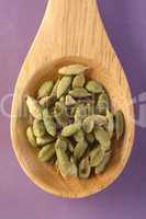 cardamom