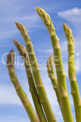 Asparagus Spears