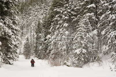 Snowshoers in the Mountains