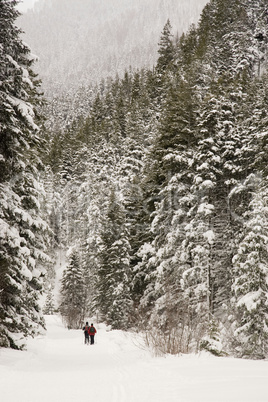 Snowshoers in the Mountains