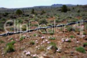 Barbed wire close-up