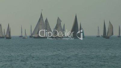 old sail regatta 03