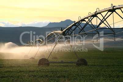 Irrigating fields at sunset