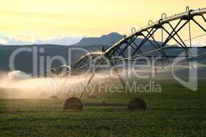 Irrigating fields at sunset