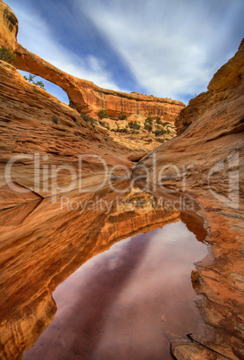 Bridge REflections