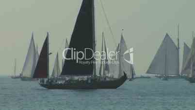 old sail regatta 04