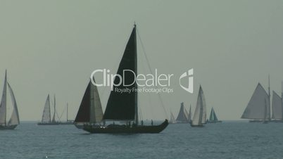 old sail regatta 05