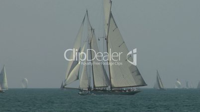 old sail regatta 06