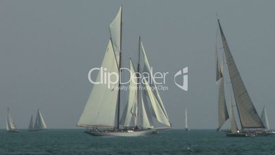 old sail regatta 08