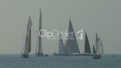 old sail regatta 09